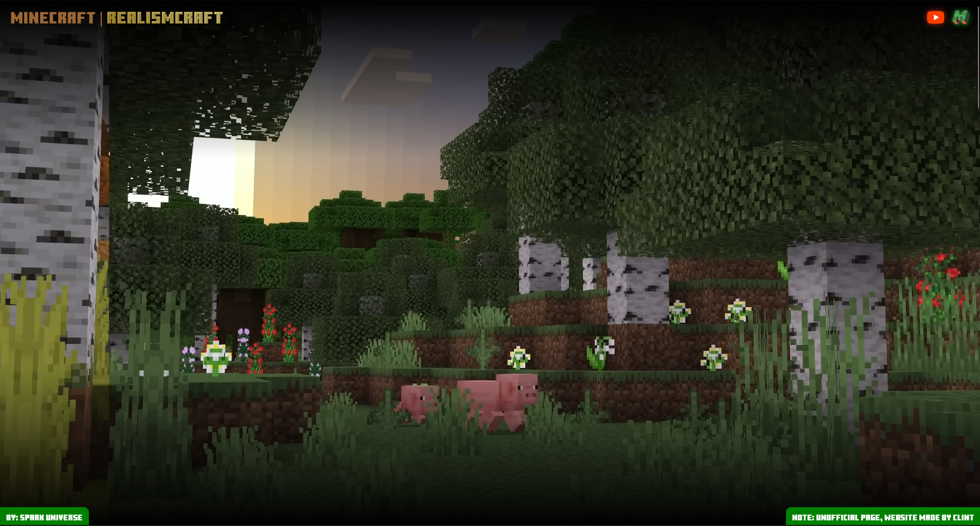 website realism-craft